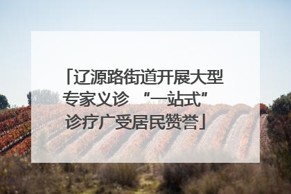 辽源路街道开展大型专家义诊 “一站式”诊疗广受居民赞誉