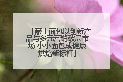 豪士面包以创新产品与多元营销破局市场 小小面包成健康烘焙新标杆
