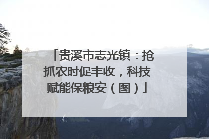 贵溪市志光镇：抢抓农时促丰收，科技赋能保粮安（图）