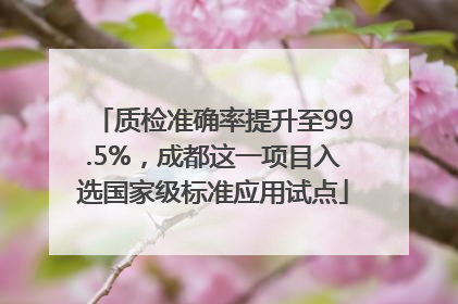 质检准确率提升至99.5%，成都这一项目入选国家级标准应用试点