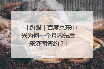 趵眼｜百度京东中兴为何一个月内先后来济南签约？