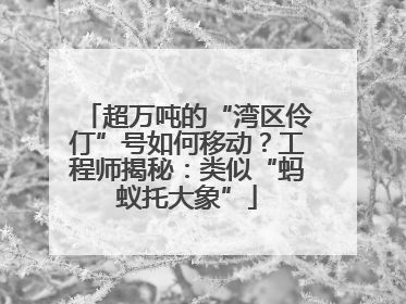 超万吨的“湾区伶仃”号如何移动？工程师揭秘：类似“蚂蚁托大象”