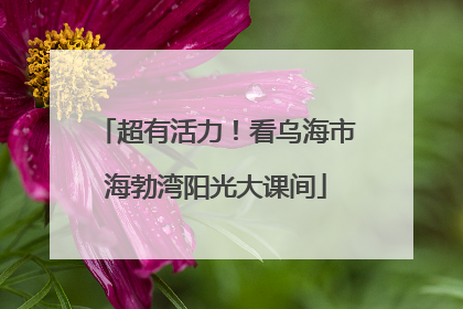 超有活力！看乌海市海勃湾阳光大课间