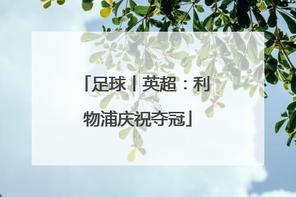 足球丨英超：利物浦庆祝夺冠