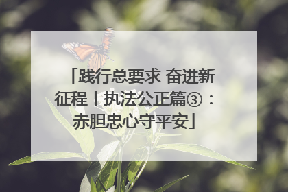 践行总要求 奋进新征程丨执法公正篇③：赤胆忠心守平安