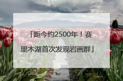 距今约2500年！赛里木湖首次发现岩画群