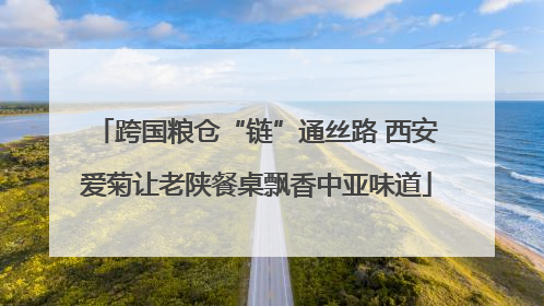 跨国粮仓“链”通丝路 西安爱菊让老陕餐桌飘香中亚味道