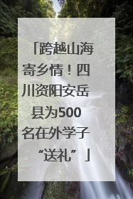 跨越山海寄乡情！四川资阳安岳县为500名在外学子“送礼”