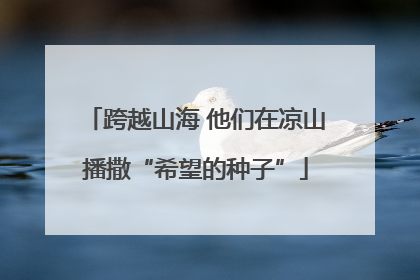 跨越山海 他们在凉山播撒“希望的种子”