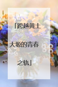 跨越黄土大塬的青春之轨