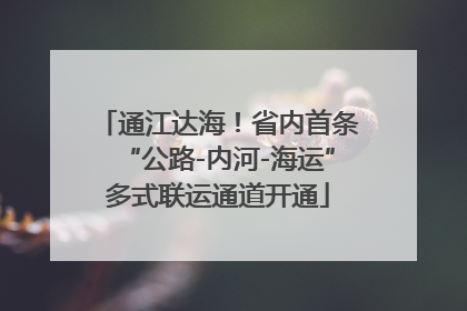 通江达海！省内首条“公路-内河-海运”多式联运通道开通