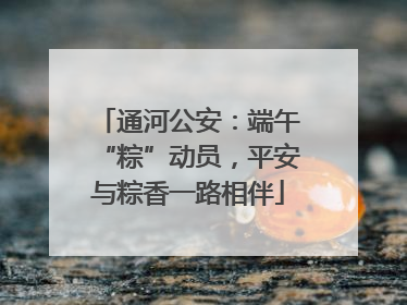 通河公安：端午“粽”动员，平安与粽香一路相伴