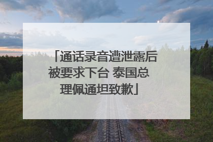 通话录音遭泄露后被要求下台 泰国总理佩通坦致歉