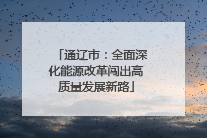 通辽市：全面深化能源改革闯出高质量发展新路