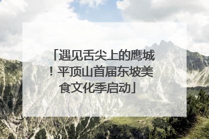 遇见舌尖上的鹰城！平顶山首届东坡美食文化季启动