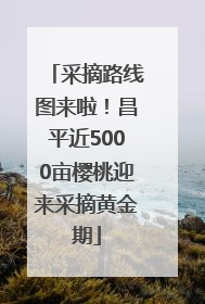 采摘路线图来啦！昌平近5000亩樱桃迎来采摘黄金期