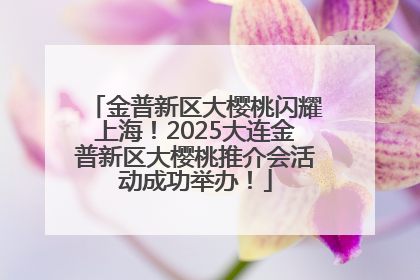 金普新区大樱桃闪耀上海！2025大连金普新区大樱桃推介会活动成功举办！