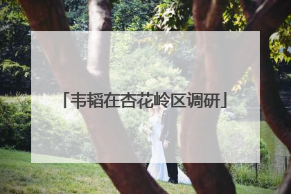 韦韬在杏花岭区调研