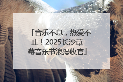 音乐不息，热爱不止！2025长沙草莓音乐节浪漫收官