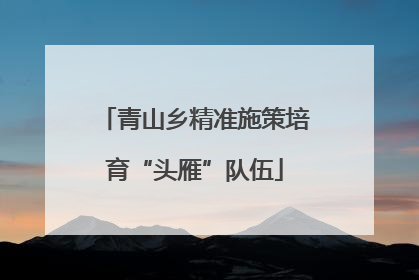 青山乡精准施策培育“头雁”队伍