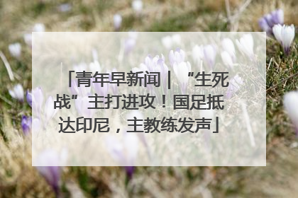 青年早新闻｜“生死战”主打进攻！国足抵达印尼，主教练发声