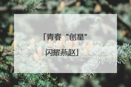 青春“创星” 闪耀燕赵