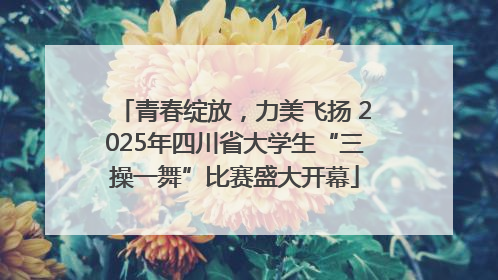 青春绽放，力美飞扬 2025年四川省大学生“三操一舞”比赛盛大开幕