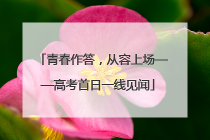 青春作答，从容上场——高考首日一线见闻