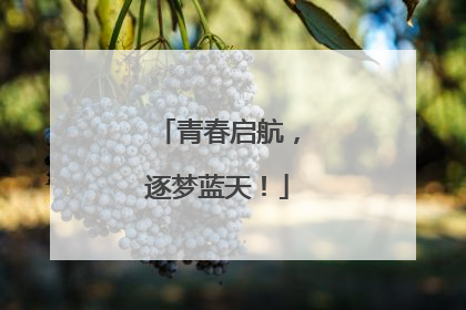 青春启航，逐梦蓝天！