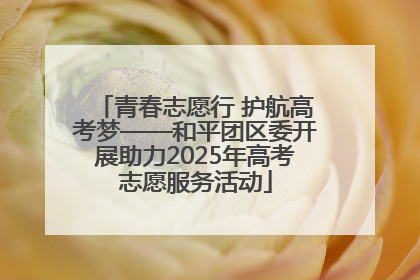 青春志愿行 护航高考梦——和平团区委开展助力2025年高考志愿服务活动