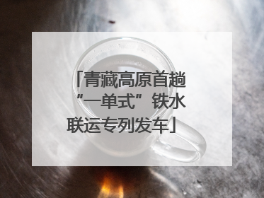 青藏高原首趟“一单式”铁水联运专列发车