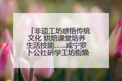 非遗工坊感悟传统文化 烘焙课堂培养生活技能……咸宁萝卜公社研学工坊街焕新迎“双节”