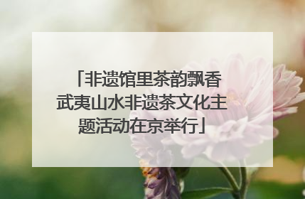 非遗馆里茶韵飘香 武夷山水非遗茶文化主题活动在京举行
