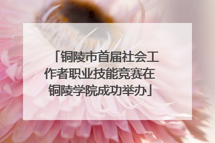 铜陵市首届社会工作者职业技能竞赛在铜陵学院成功举办