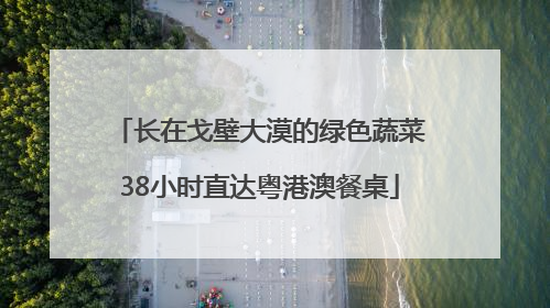 长在戈壁大漠的绿色蔬菜38小时直达粤港澳餐桌