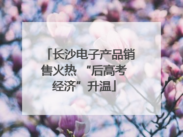长沙电子产品销售火热 “后高考经济”升温