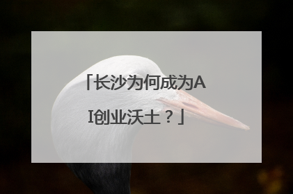长沙为何成为AI创业沃土？