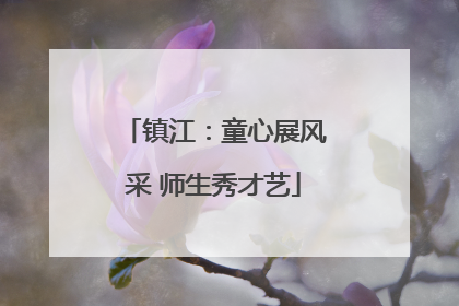 镇江：童心展风采 师生秀才艺