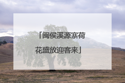 闽侯溪源寨荷花盛放迎客来