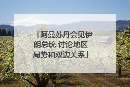 阿曼苏丹会见伊朗总统 讨论地区局势和双边关系
