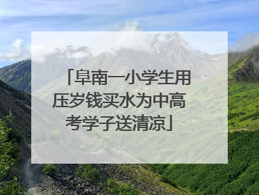 阜南一小学生用压岁钱买水为中高考学子送清凉