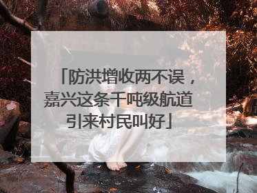 防洪增收两不误，嘉兴这条千吨级航道引来村民叫好