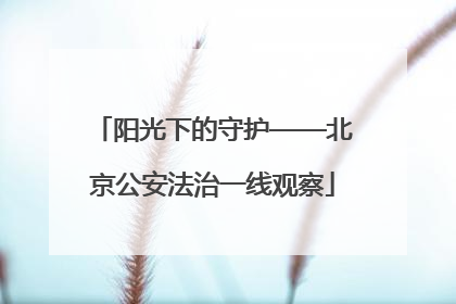 阳光下的守护——北京公安法治一线观察