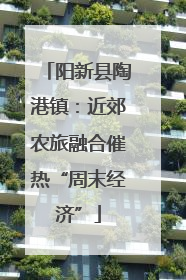 阳新县陶港镇：近郊农旅融合催热“周末经济”