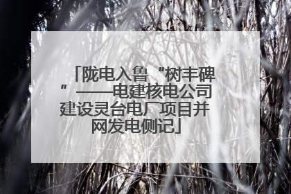 陇电入鲁“树丰碑”——电建核电公司建设灵台电厂项目并网发电侧记