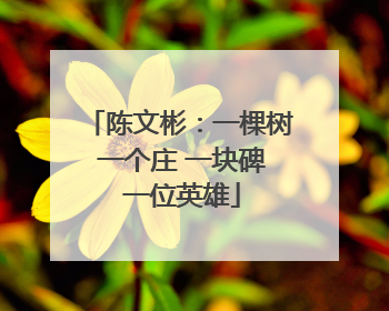 陈文彬：一棵树 一个庄 一块碑 一位英雄