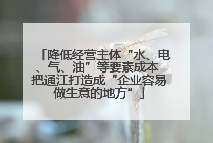 降低经营主体“水、电、气、油”等要素成本 把通江打造成“企业容易做生意的地方”