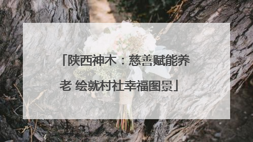 陕西神木：慈善赋能养老 绘就村社幸福图景