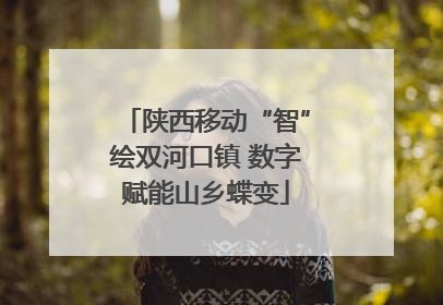 陕西移动“智”绘双河口镇 数字赋能山乡蝶变