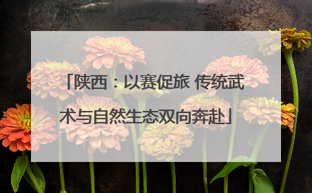 陕西：以赛促旅 传统武术与自然生态双向奔赴